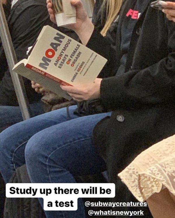 Books People Read In Subway (42 pics)