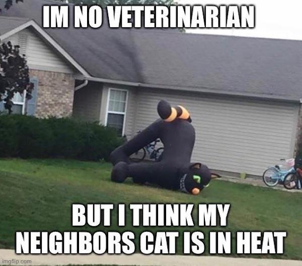 Dirty Humor (36 pics)