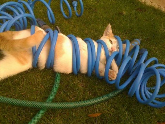 Acid Picdump. Part 1 (93 pics)