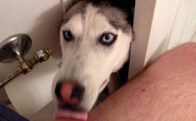 Acid Picdump. Part 1 (93 pics)