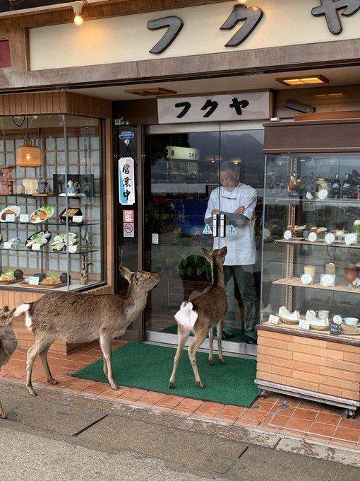 Acid Picdump. Part 1 (93 pics)