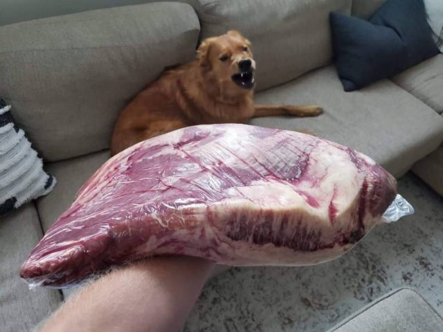 Acid Picdump. Part 1 (93 pics)