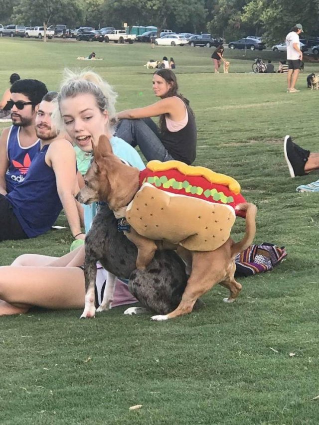 Acid Picdump. Part 1 (93 pics)