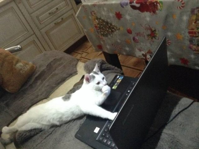 Acid Picdump. Part 1 (93 pics)