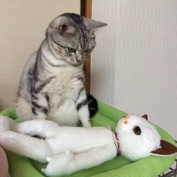Acid Picdump. Part 1 (93 pics)