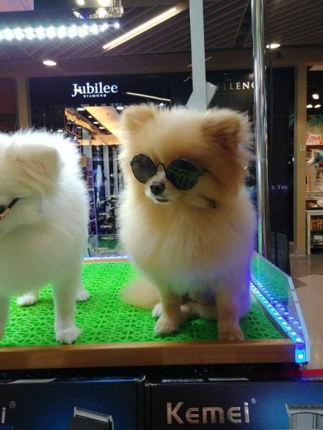 Acid Picdump. Part 1 (93 pics)