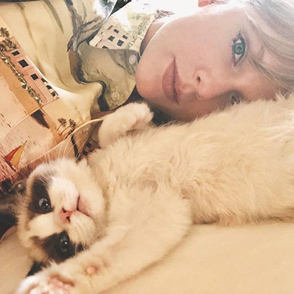 Celebrities Who Adopted Their Pets (25 pics)