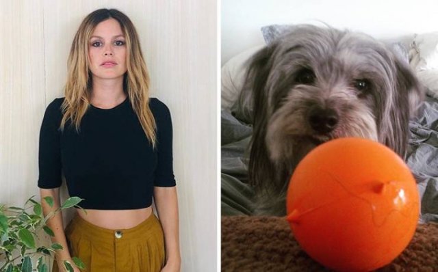Celebrities Who Adopted Their Pets (25 pics)