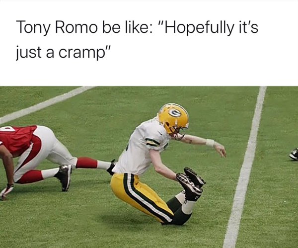 NFL Memes (30 pics)