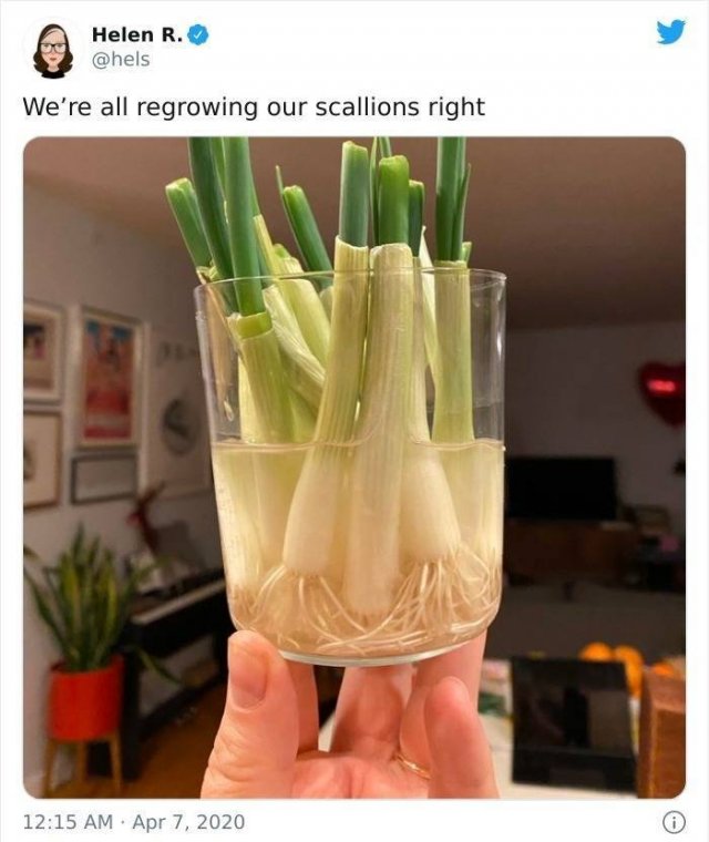 Kitchen Hacks (45 pics)
