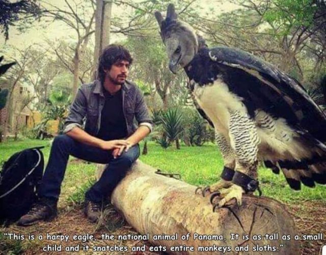 Acid Picdump. Part 2 (94 pics)