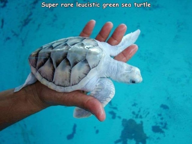 Acid Picdump. Part 2 (94 pics)