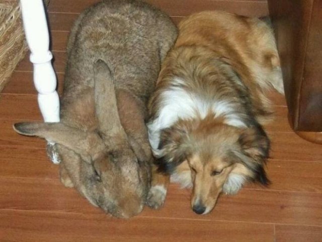Acid Picdump. Part 2 (94 pics)