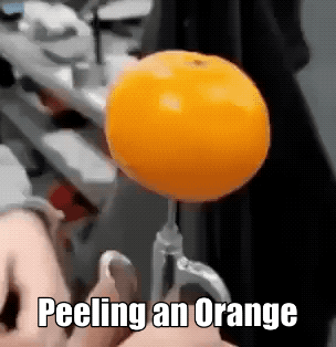 Wins (25 gifs)
