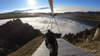 Wins (25 gifs)