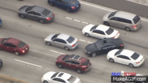 Wins (25 gifs)
