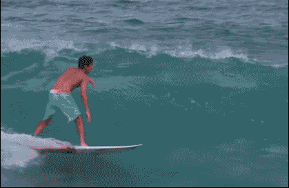Wins (25 gifs)