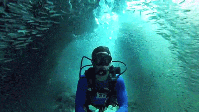 Wins (25 gifs)
