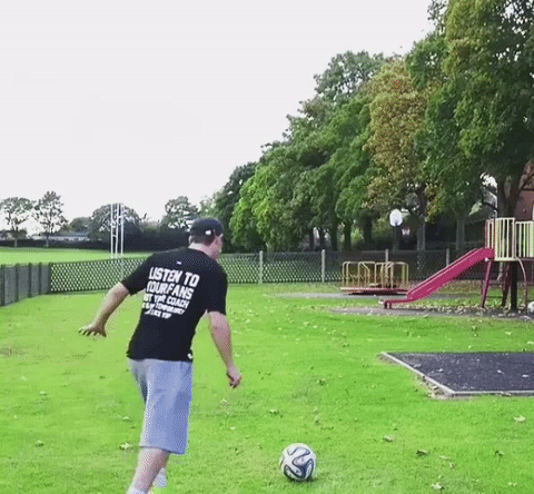 Wins (25 gifs)