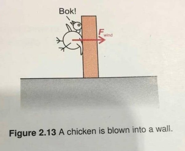 Weird Book Diagrams (40 pics)