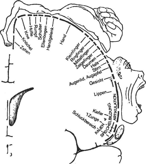 Weird Book Diagrams (40 pics)