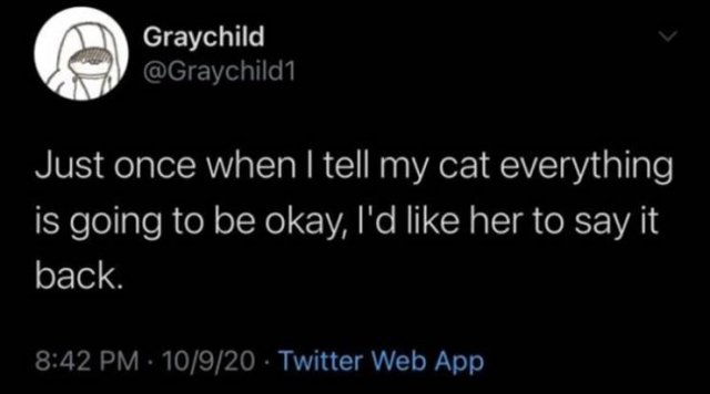 Funny Tweets (27 pics)