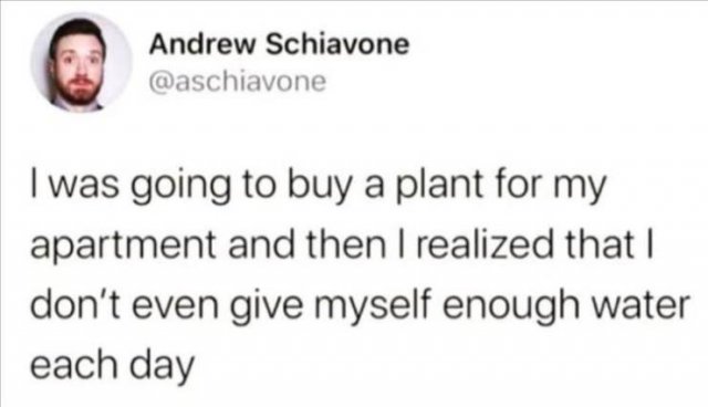 Funny Tweets (27 pics)