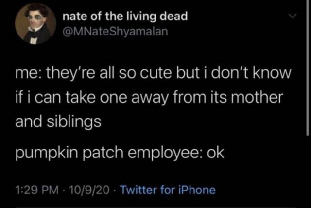 Funny Tweets (27 pics)