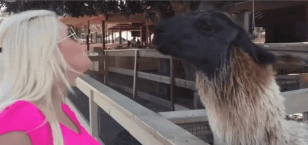 Acid Gifdump, October 15 (25 gifs)