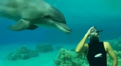 Acid Gifdump, October 15 (25 gifs)