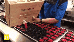 Acid Gifdump, October 15 (25 gifs)