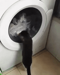 Acid Gifdump, October 15 (25 gifs)