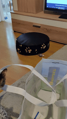 Acid Gifdump, October 15 (25 gifs)