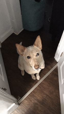 Acid Gifdump, October 15 (25 gifs)