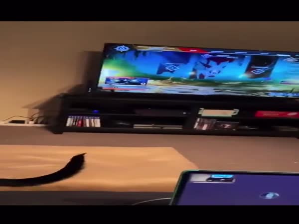 Apex Legends Ravenent Scares Dog