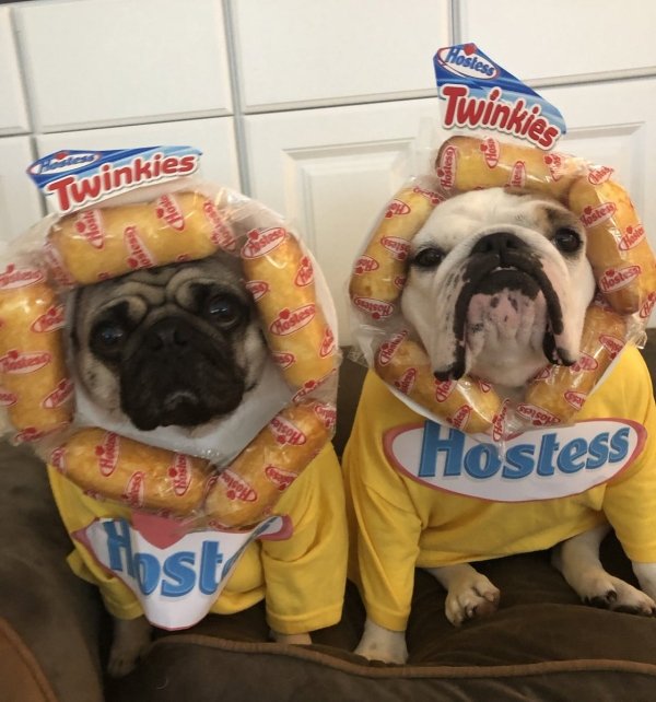 Popular 2020 Halloween Costumes (28 pics) Popular 2020 Halloween Costumes (28 pics)