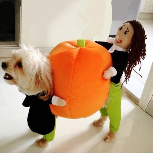 popular-2020-halloween-costumes-28-pics