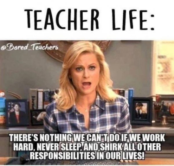 Memes For Teachers (24 pics)