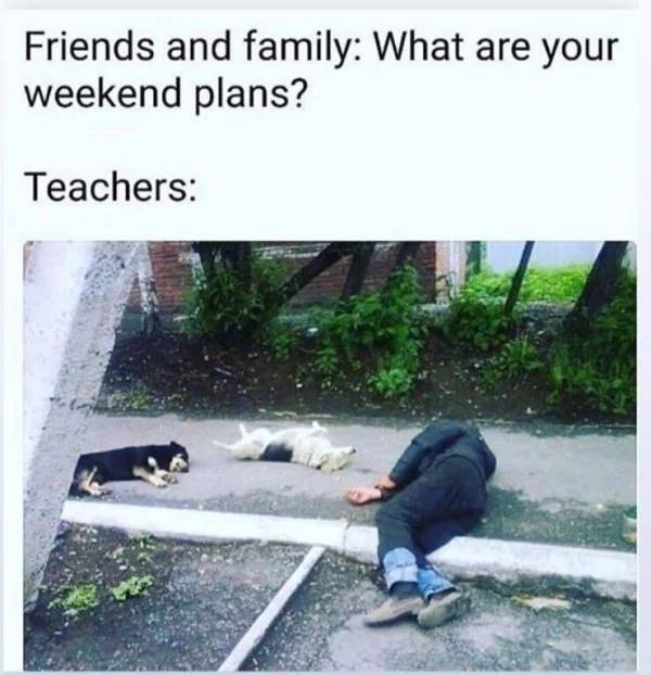 Memes For Teachers (24 pics)