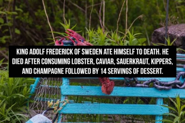 Interesting Facts (16 pics)