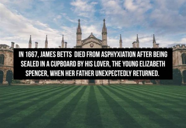 Interesting Facts (16 pics)