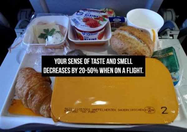 Interesting Facts (16 pics)