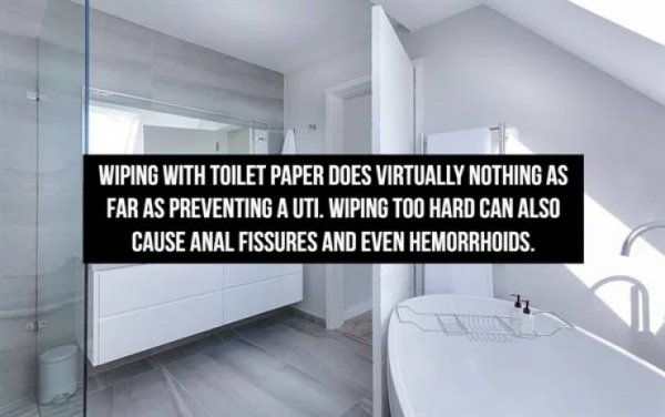 Interesting Facts (16 pics)