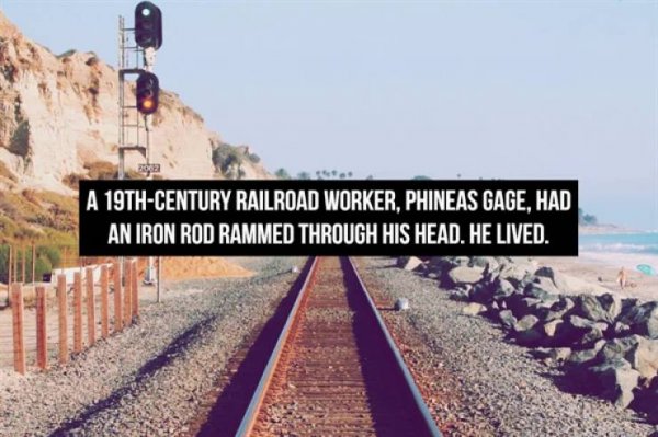 Interesting Facts (16 pics)