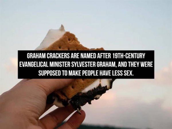 Interesting Facts (16 pics)