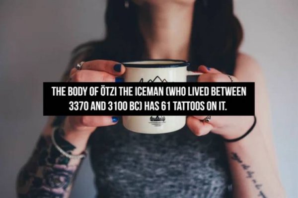 Interesting Facts (16 pics)