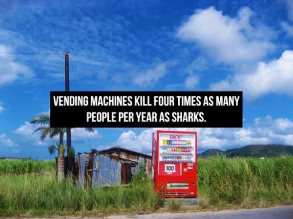 Interesting Facts (16 pics)