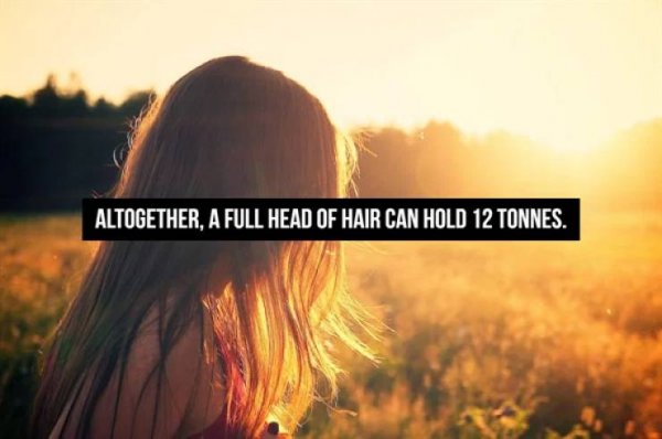 Interesting Facts (16 pics)