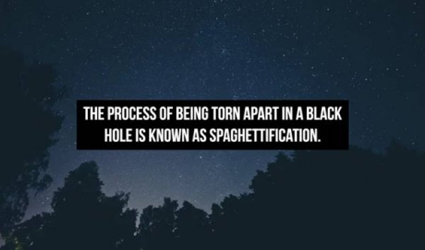 Interesting Facts (16 pics)