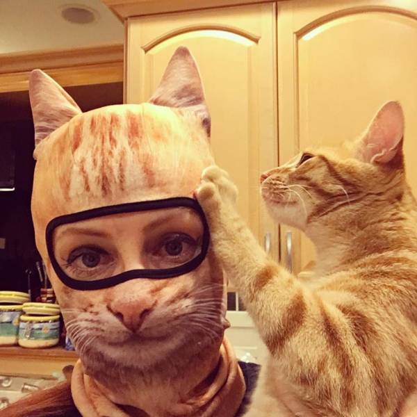 Acid Picdump. Part 1 (95 pics)